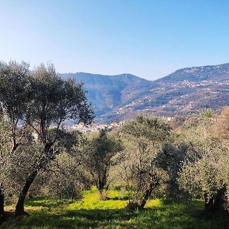 Bas De Villa. Cote D'Azur, A 20 Kms De Nice Contes  Εξωτερικό φωτογραφία