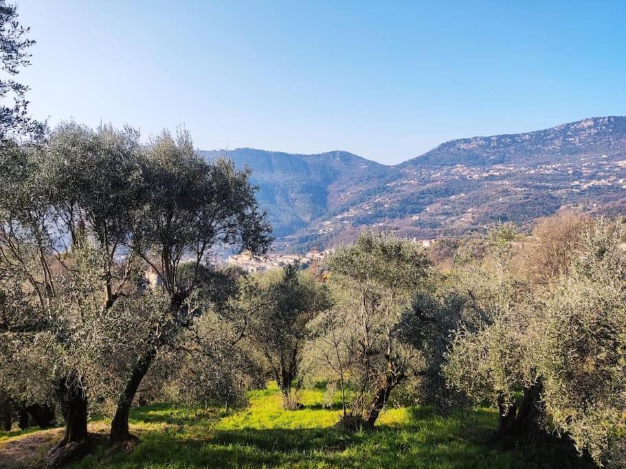 Bas De Villa. Cote D'Azur, A 20 Kms De Nice Contes  Εξωτερικό φωτογραφία