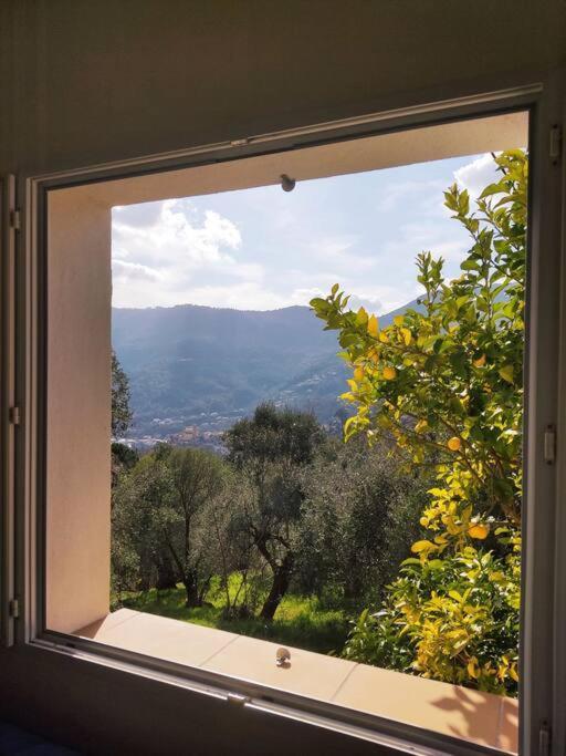 Bas De Villa. Cote D'Azur, A 20 Kms De Nice Contes  Εξωτερικό φωτογραφία